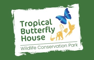 Tropical Butterfly House